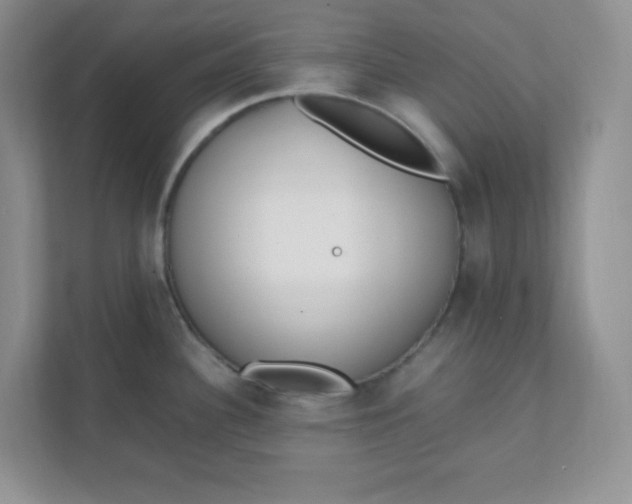 X0000112041340200908171503