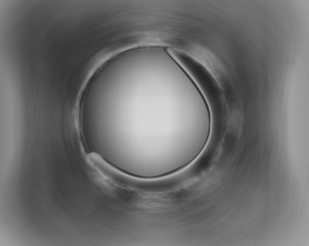 X0000112041342200908171503