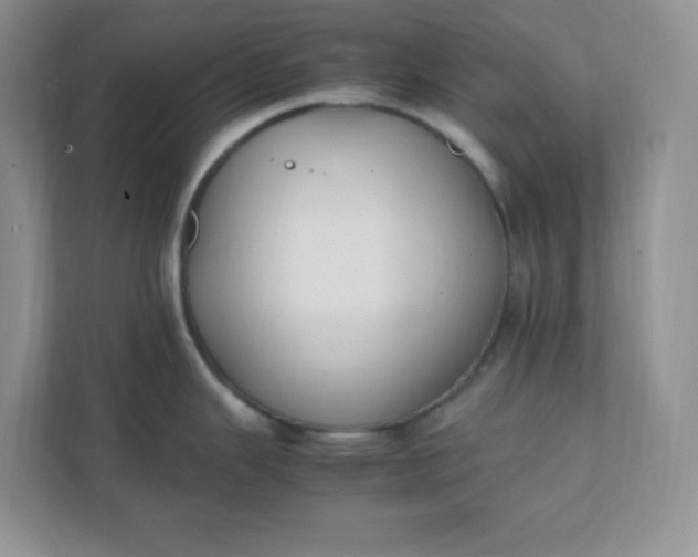 X0000112041343200908171503
