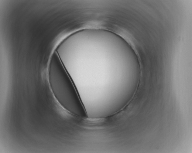 X0000112041344200908171503