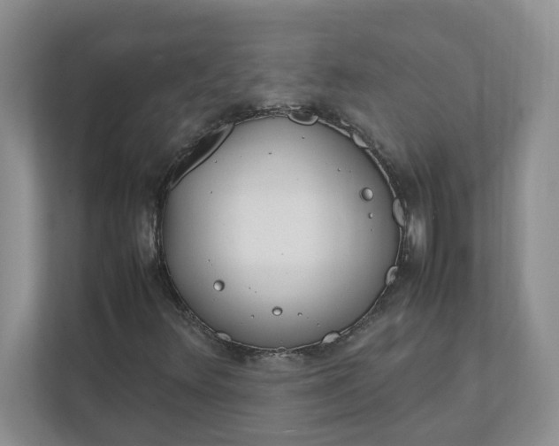 X0000112041348200908171503
