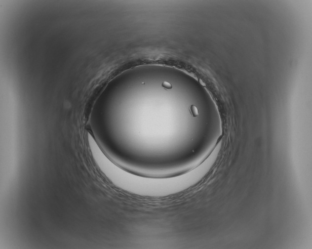 X0000112041349200908171503