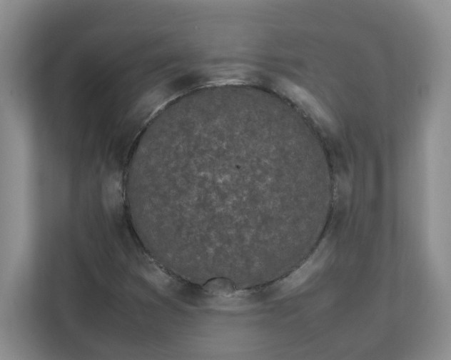 X0000112041353200908171502