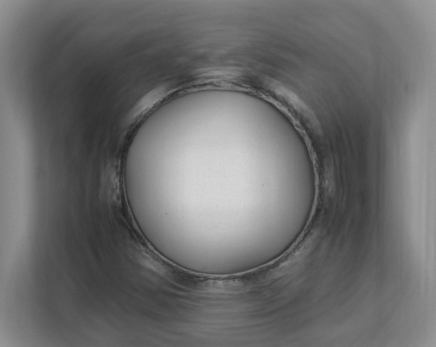 X0000112041354200908171502