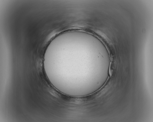 X0000112041355200908171502