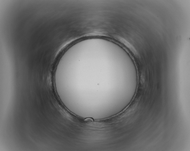 X0000112041356200908171502