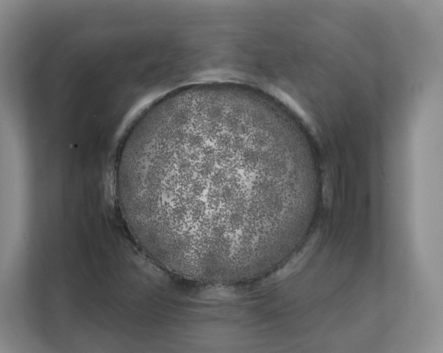 X0000112041358200908171502