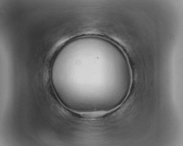 X0000112041359200908171502