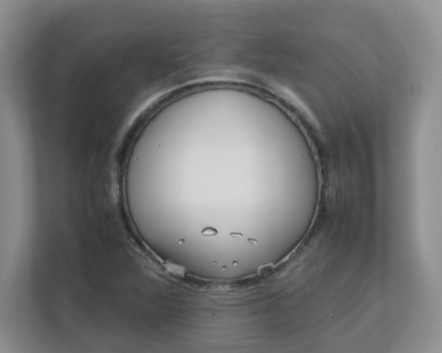 X0000112041360200908171502