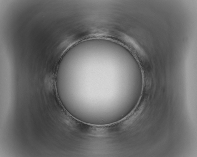 X0000112041361200908171502