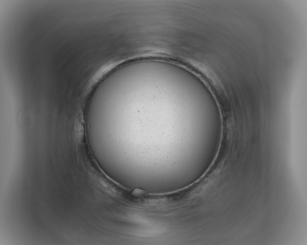 X0000112041363200908171502