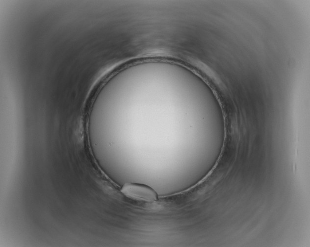 X0000112041364200908171502