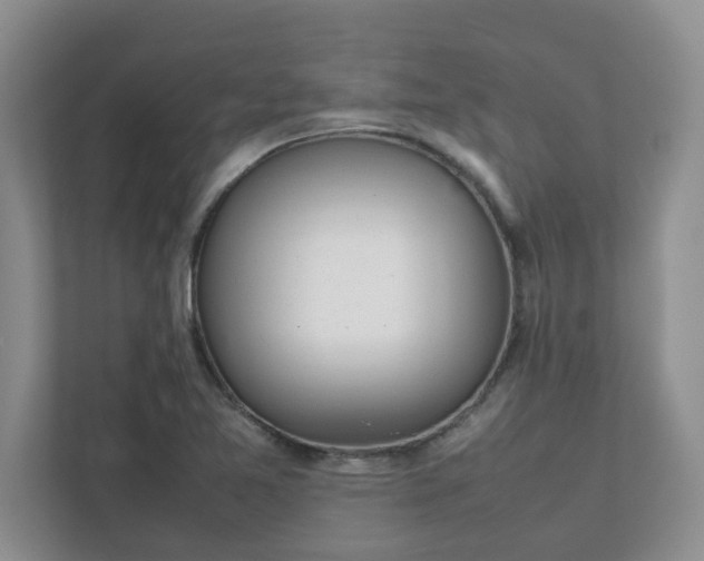 X0000112041365200908171502