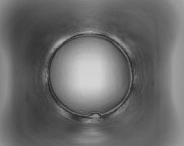 X0000112041367200908171502