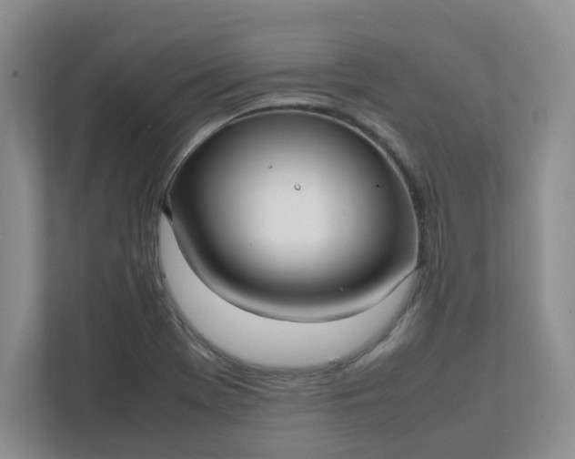 X0000112041369200908171502