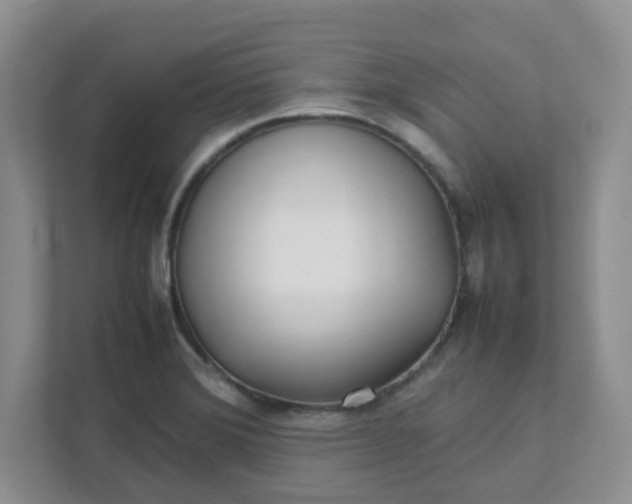 X0000112041372200908171502