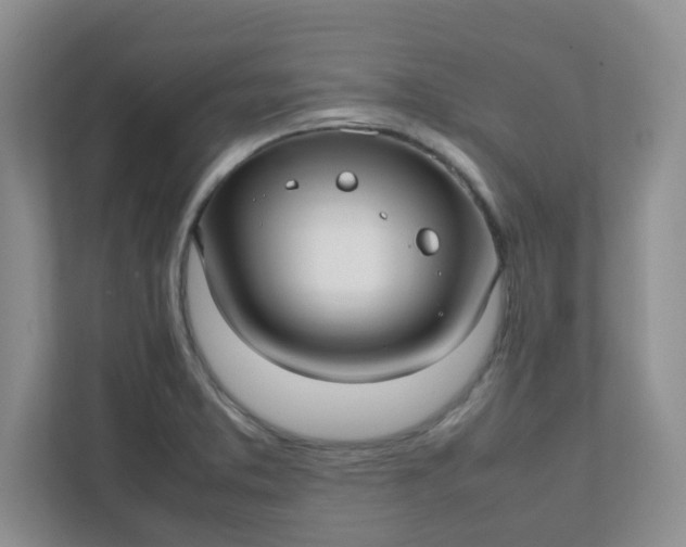 X0000112041373200908171502