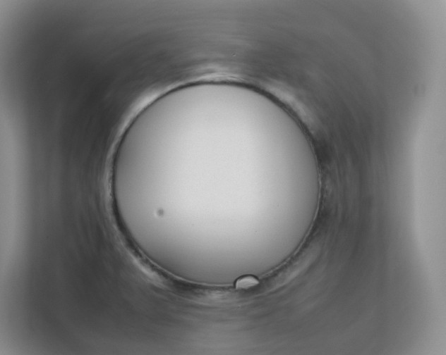 X0000112041375200908171502