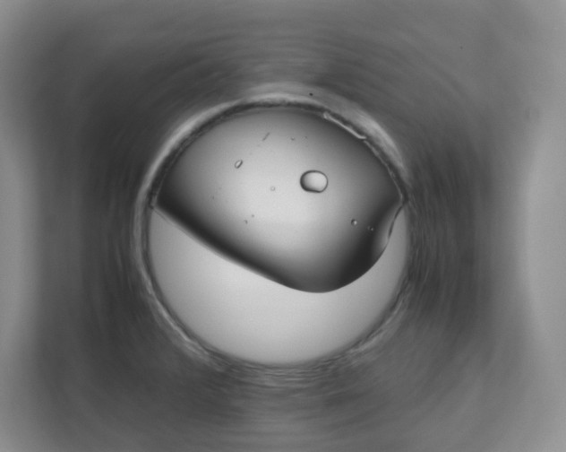 X0000112041376200908171502