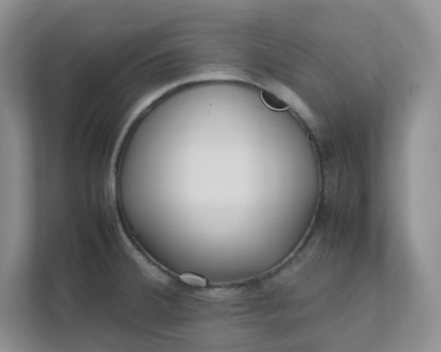 X0000112041380200908171502