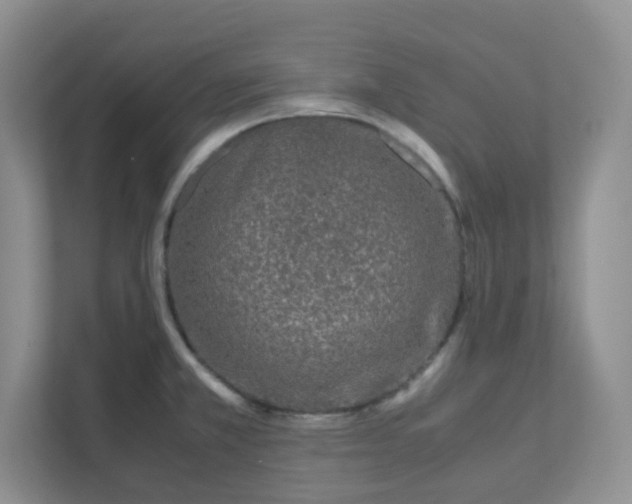 X0000112041381200908171502