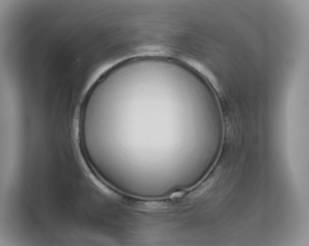 X0000112041383200908171502
