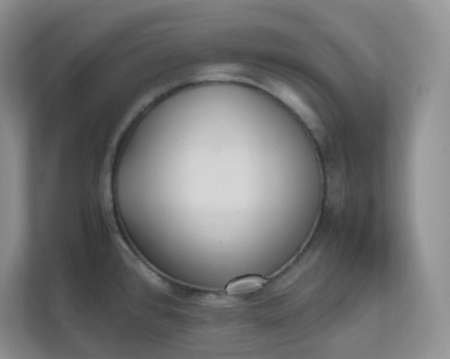 X0000112041384200908171502