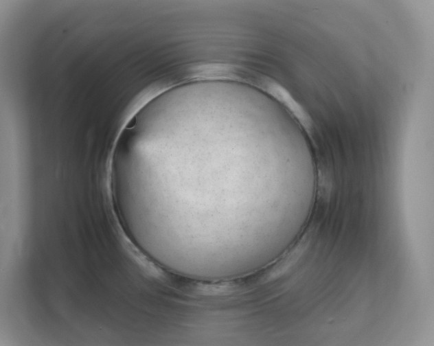 X0000112041386200908171502