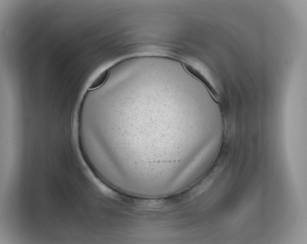 X0000112041387200908171502