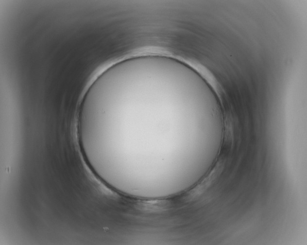 X0000112041390200908171502