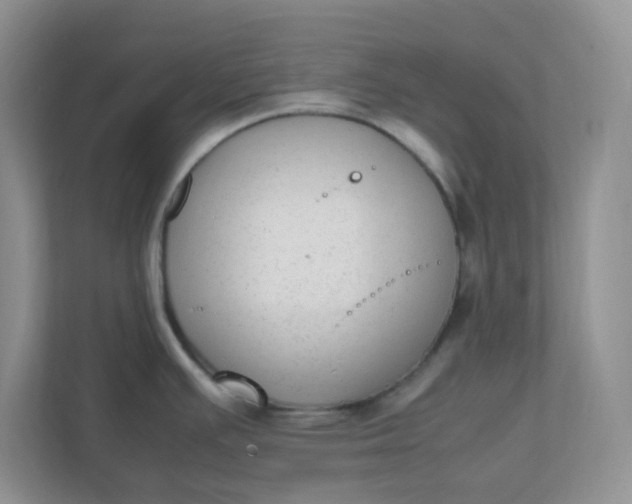 X0000112041391200908171502