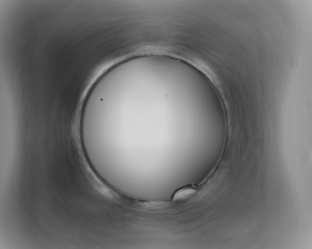 X0000112041392200908171502