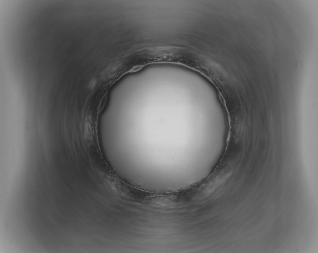 X0000112041394200908171501