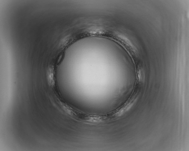 X0000112041396200908171501