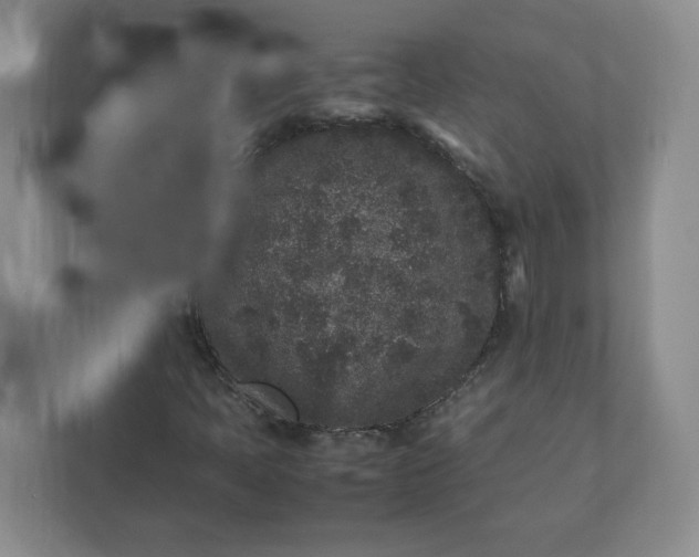 X0000112041397200908171501