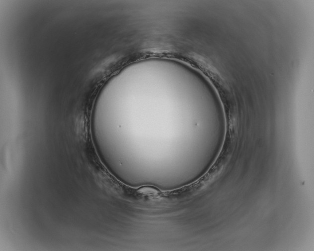 X0000112041398200908171501