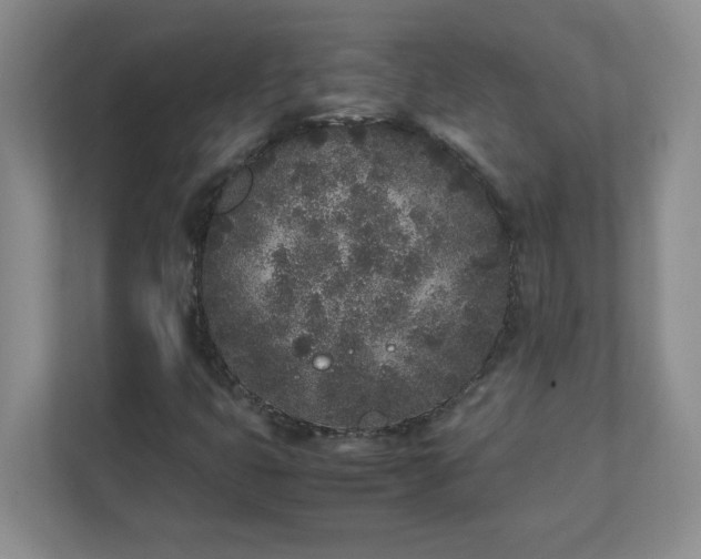 X0000112041399200908171501