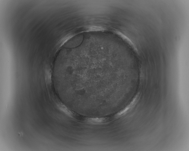X0000112041401200908171501