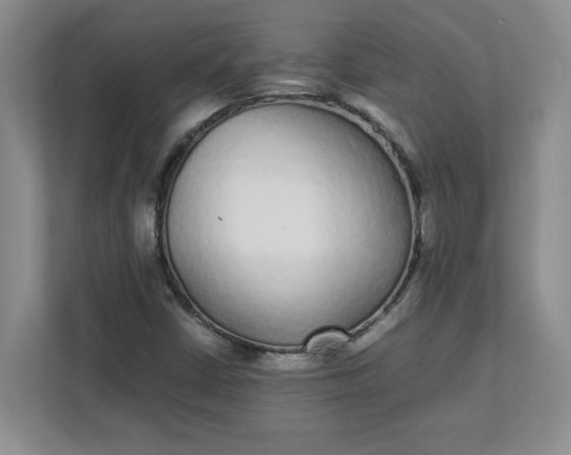 X0000112041402200908171501