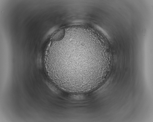 X0000112041403200908171501
