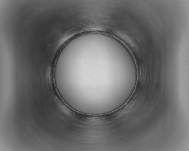 X0000112041404200908171502