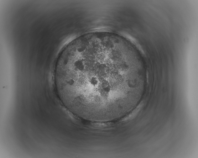 X0000112041405200908171502