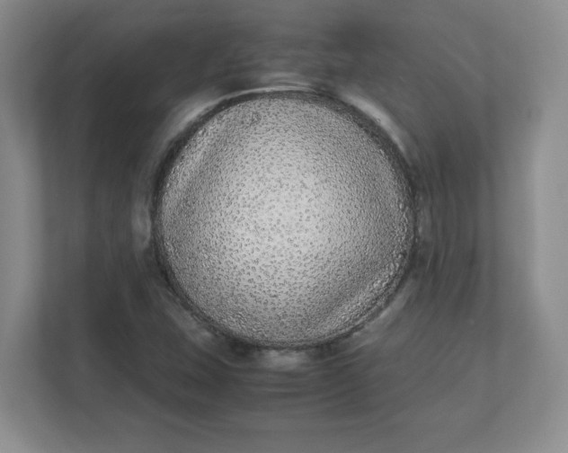 X0000112041407200908171502