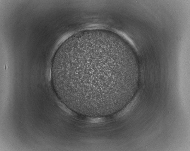 X0000112041413200908171502