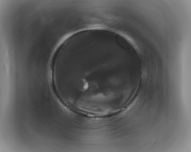 X0000112041414200908171502