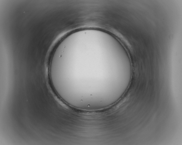 X0000112041416200908171502