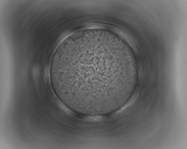 X0000112041417200908171502