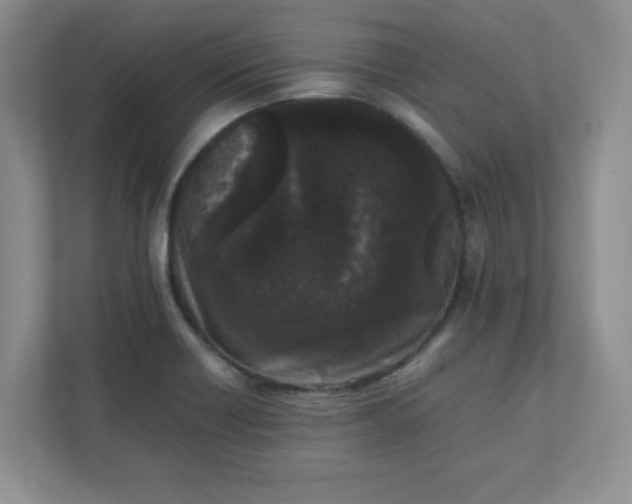 X0000112041418200908171502