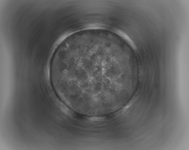 X0000112041419200908171502