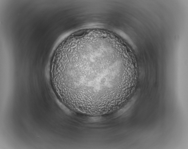 X0000112041421200908171502